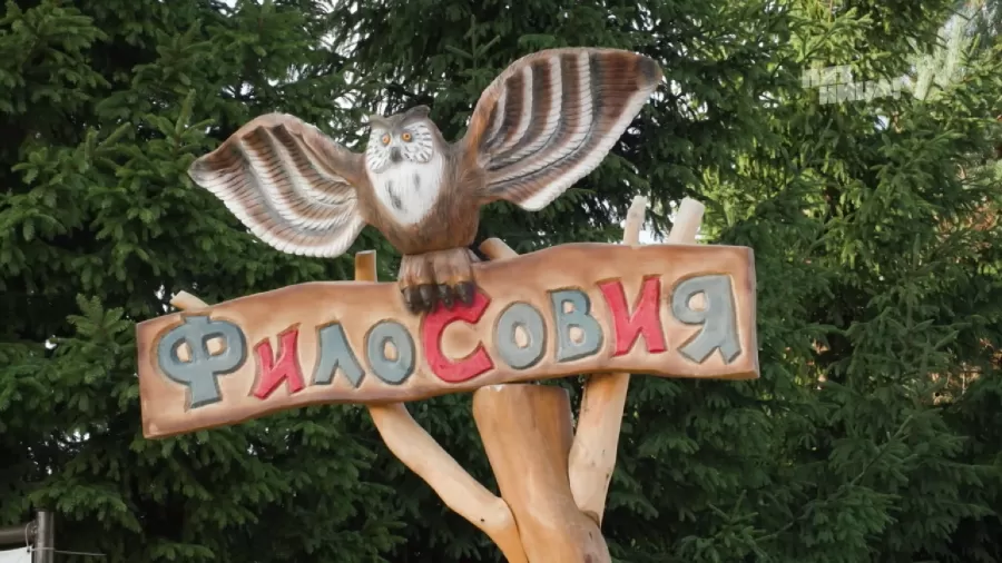 Почему ФилоСовия?
